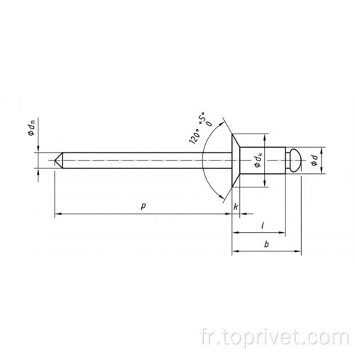 Aluminium / acier inoxydable Consérée de type ouverte Rivets aveugles